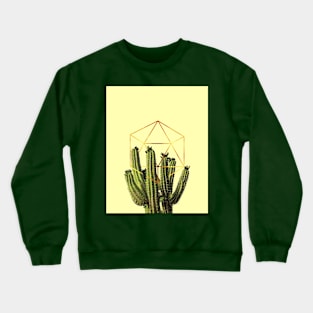 Cactohedron Crewneck Sweatshirt